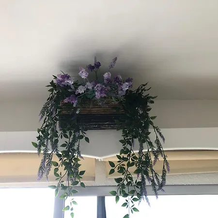 ***** Just Do It : Take My Superhost Lovin' Place