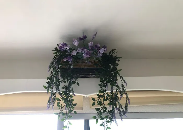 ***** Just Do It : Take My Superhost Lovin' Place